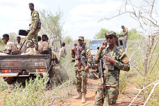 Somali Forces Escalate Anti-Shabab Campaign with Airstrikes and Ground Assaults
